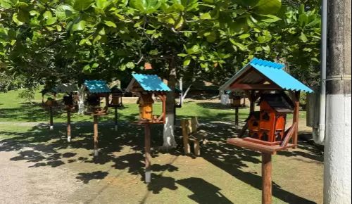 Implantação de um apiário com abelhas sem ferrão na Escola de Campo